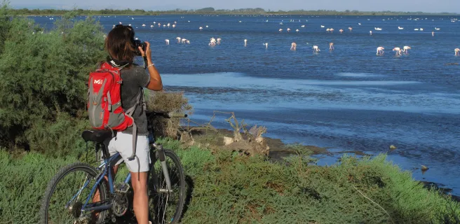 Découverte de l'Etang de Vaccarès - Boucle vélo n°4