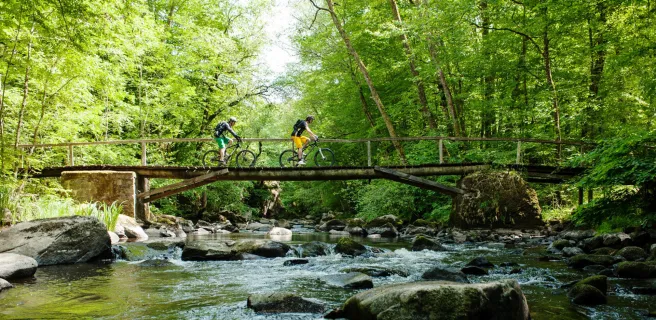 VTTistes au dessus de la vallée du Cousin dans le Morvan