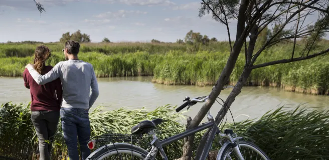 25: ViaRhôna d'Arles à Port-St-Louis-du-Rhône