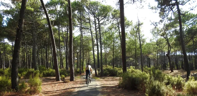 Lacanau-Océan / Lège-Cap-Ferret