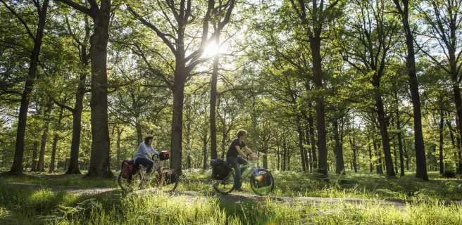Vélo dans la Vallée de Chevreuse - La Véloscénie
