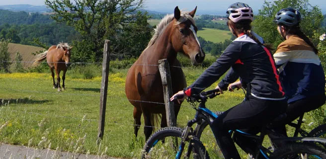 Sur la route du Monorail à vélo - Boucle vélo F5