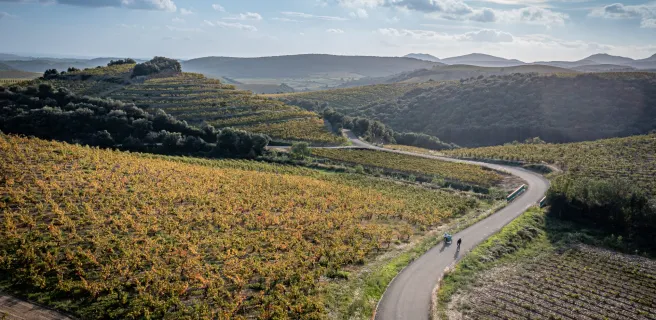 La Véloccitanie et les vignes héraultaises