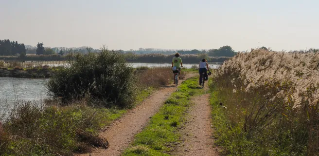 La Camargue avec Vélorizons