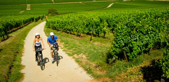 Au travers des vignes à vélo - EuroVelo 5