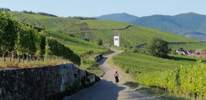 Vignobles d'Alsace