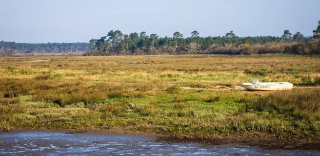 Andernos-les-Bains / Lacanau-Océan