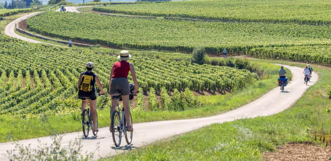 Voie des Vignes à vélo