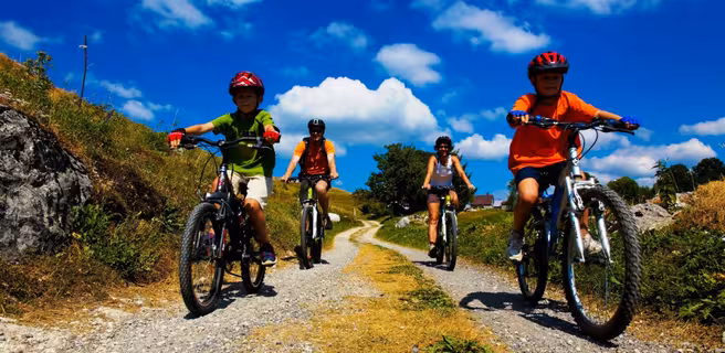 Location de VTT - Foyer des Moises