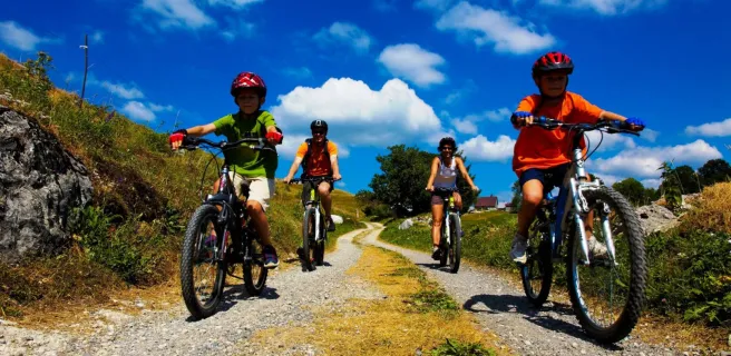 Location de VTT - Foyer des Moises