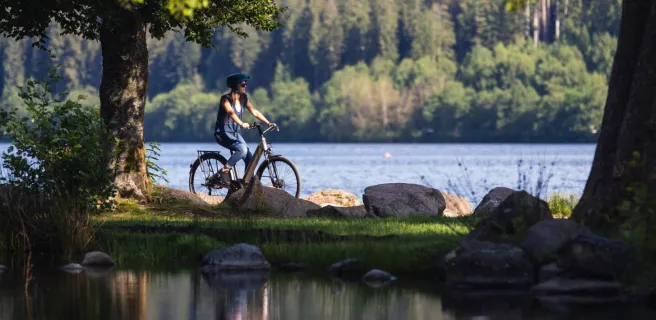 Location vélo, vente, réparation et séjours VTT - Cycles AMC7
