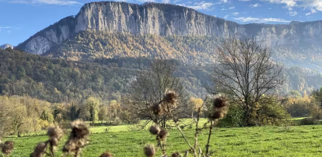 Vue sur le massif de Chartreuse