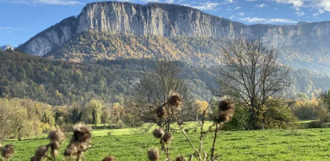 Vue sur le massif de Chartreuse