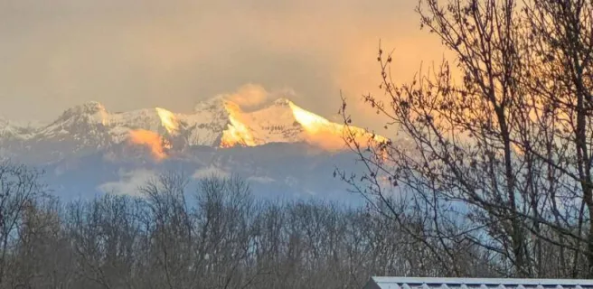 Camping Domaine les Genêts