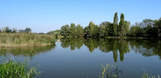 La Gravière aux Oiseaux