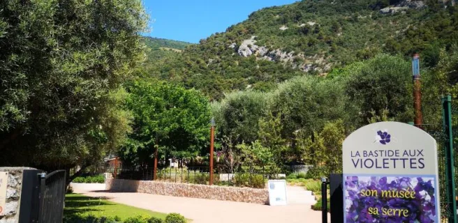 Musée La Bastide aux Violettes