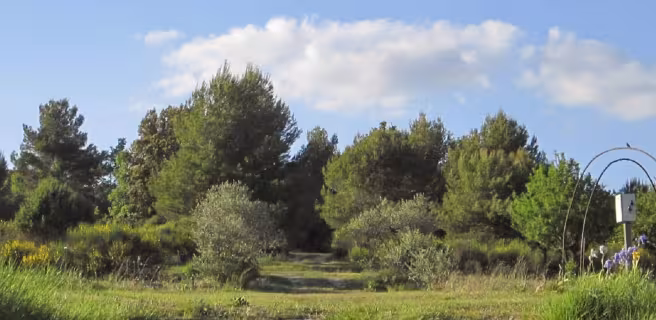Vue Générale Camping à La Ferme Roumavagi