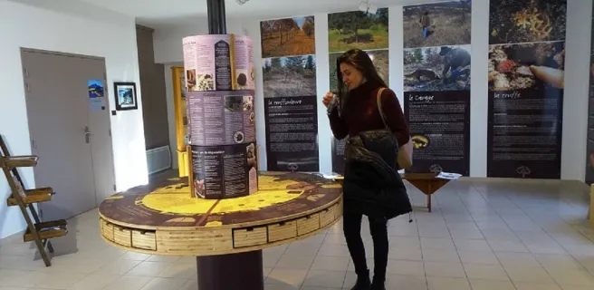 Musée de la Truffe du Ventoux