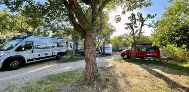 Camping International