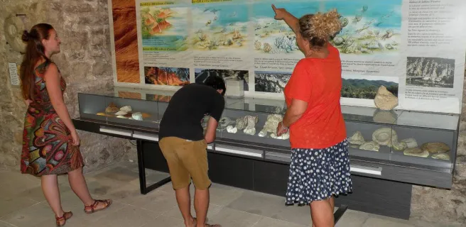 Musée de Géologie de la Maison du Parc