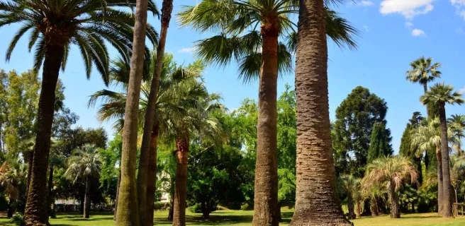 Jardins de la Villa Rothschild