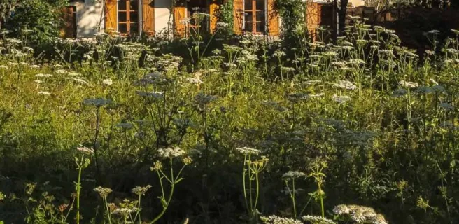 Grand gîte Narcisse