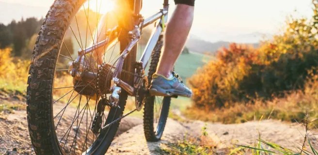 Location de Vélos et VTT Electriques - Face Sud