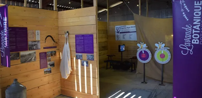 Le lavandoscope & la galerie du temps