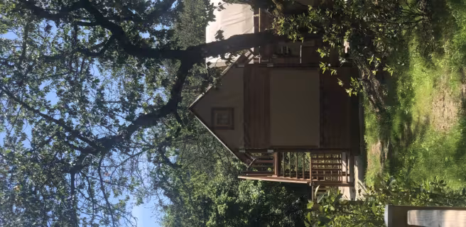 Logement insolite "Le Nid"