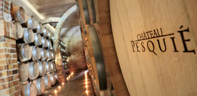 Visite / Dégustation au Château Pesquié