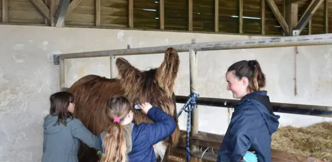 1h pour s'occuper des ânes