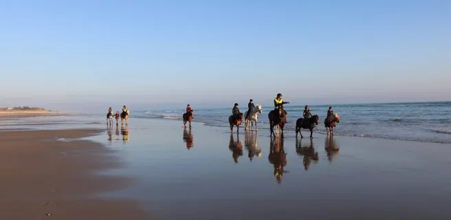 Balade sur la plage