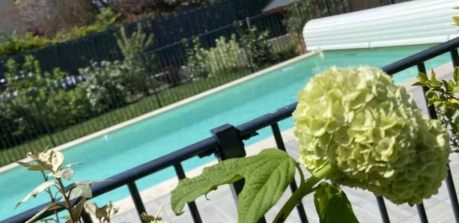 Une Pause au Vert - T2