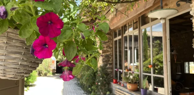 Gîte de la placette Albigeoise