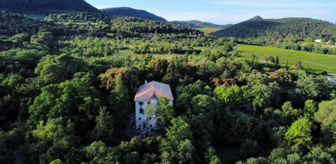 Le Domaine Daulone donne directement sur le parc des Dentelles de Montmirail et du Mont Ventoux