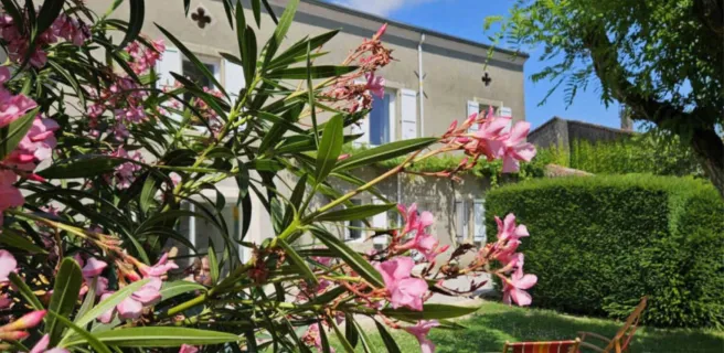 La surprise des Jumelles