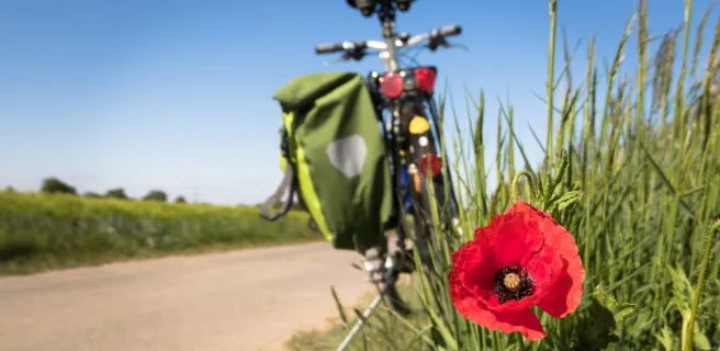 VDS mobilité - Réparateur
