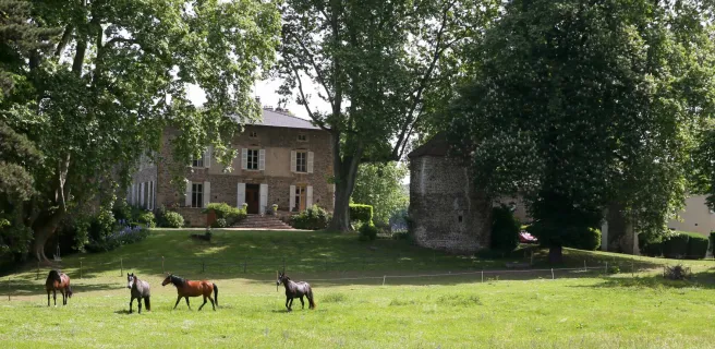 Domaine La bonne Etoile - Chambres d'hôtes