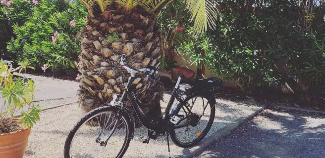 vélo