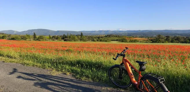 Easy Vélo