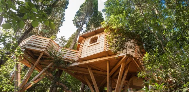 Cabanes dans les bois