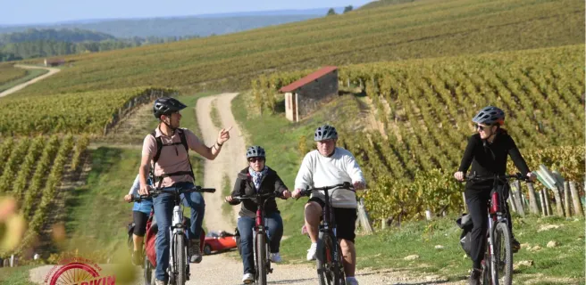 Cycle Divin