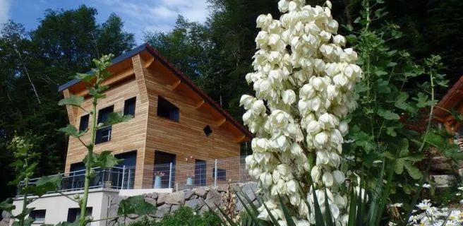 Villa Cora Venez 4 étoiles SPA privatif - Neuf- Vosges du Sud