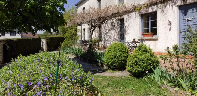 Le Tilleul de Ray