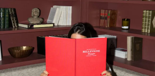 Bellevigne Bourgogne