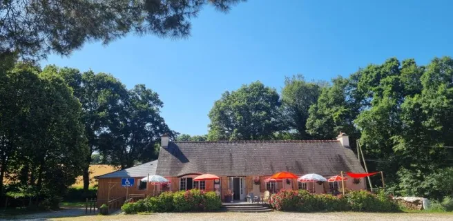 un rayon de blé noir