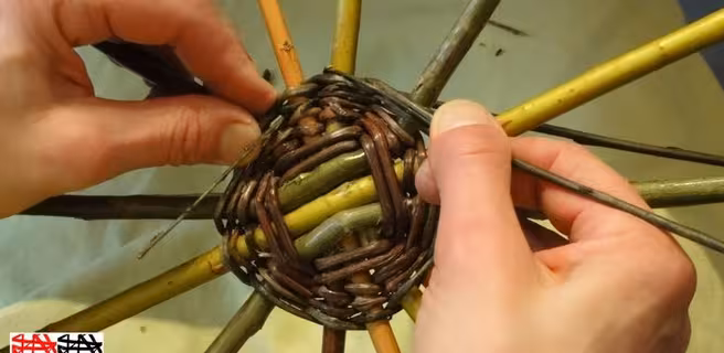O S I E Z ! Visite guidée et Atelier osier créatif