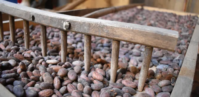 Chocolaterie Max Vauché, Découvrez la transformation du chocolat