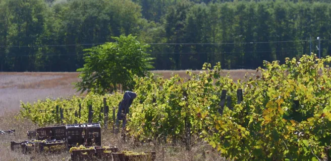 Domaine de Montoray