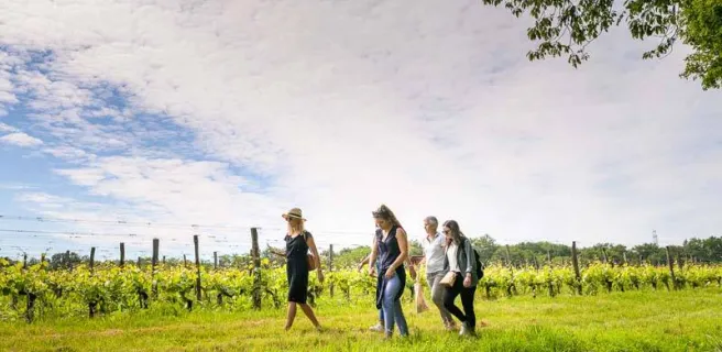 Domaine Nicolas Paget
